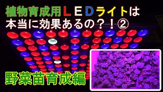 【家庭菜園】植物育成用ＬＥＤライトって効果あるの？！②野菜苗育成編