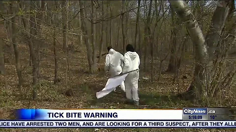 Experts warning about bad tick season - CityNews Toronto 09-05-2017