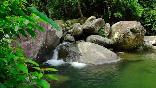 🎧 Gentle Morning Stream & Singing Birds in the Forest | Deep Anxiety Relief & Nervous System 4K