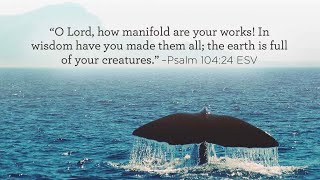 Great Lent 2024, Day 3 — Isaiah 2:3-11: Remembering God in His Creation