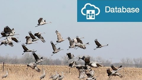 Database Platform Migration Methods