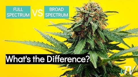 Broad Spectrum CBD vs Full Spectrum CBD