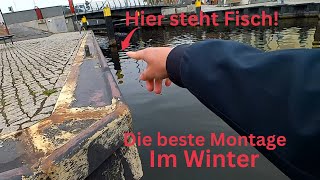 Die Beste Montage Zum Angeln Im Winter Im Winter Leicht Zum Fangerfolg Kommen