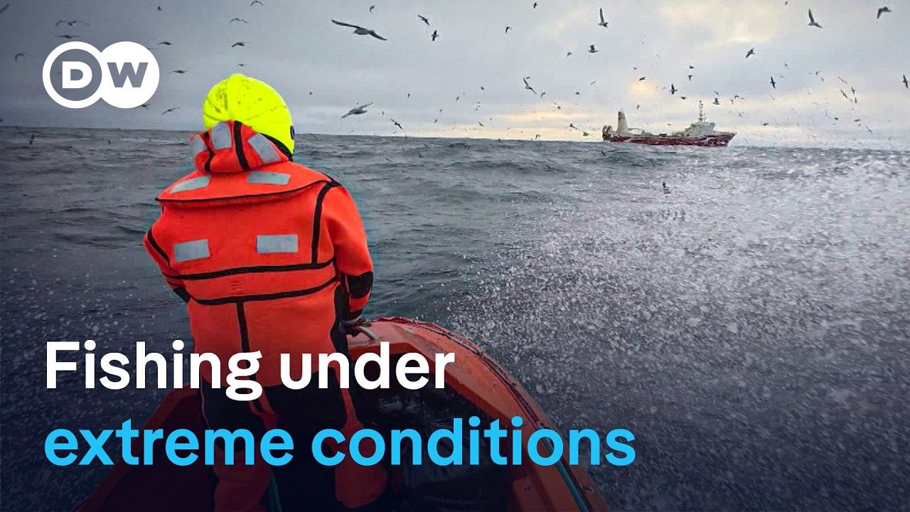 Backbreaking work: Deep-sea fishing in the Arctic Ocean | DW Documentary