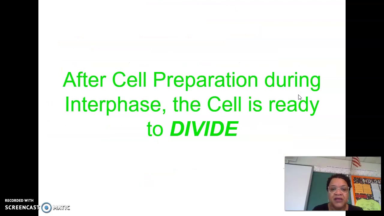 The Cell Cycle and Mitosis - YouTube