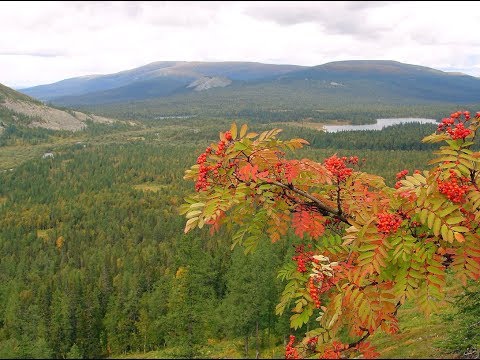 Уральский русский народный хор - Уральская рябинушка