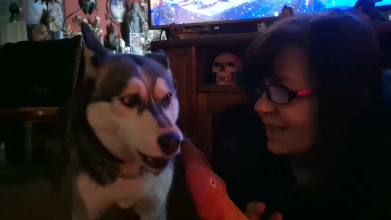 Odin et moi ,on vous remercie pour votre gentillesse😘🥰