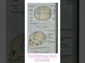 Fetal Skull and fetal diameters.#obg