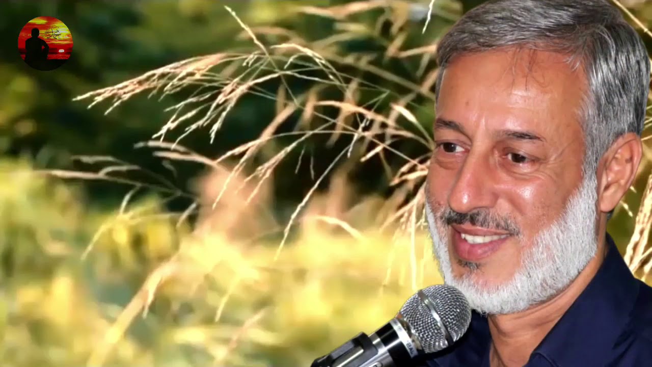 мухаммад салих шайх пурдил. картинка шайх пурдил. шайх пурдил фото. шайх пурдил. шайх пурдил.