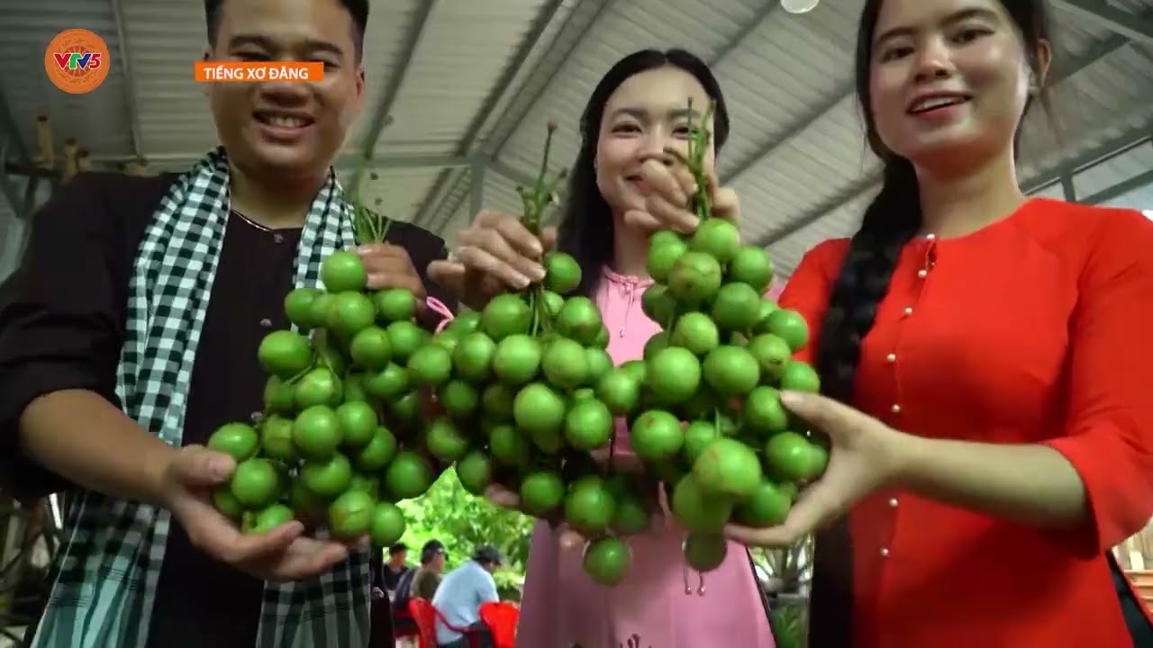 [TIẾNG XƠ ĐĂNG] THÀNH PHỐ NGÃ BẢY | VTV5