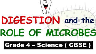 Digestion & The Role of Microbes| Class 4 Science CBSE, NCERT| Chapter Explanation