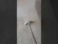 Carpet cleaning in Michiana, final step for Pet stains
