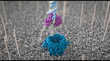 Adaptive sampling explained: the future of flexible target enrichment