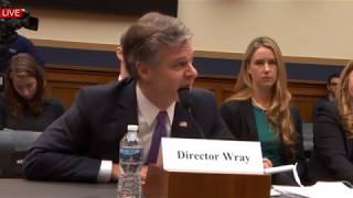 Trey Gowdy questions FBI Director Christopher Wray on Comey pre deciding Hillary Innocence