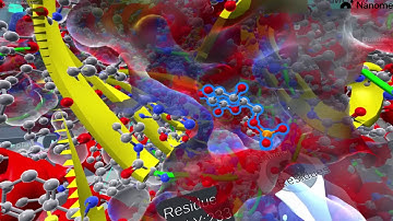 Protein Structure (Part 1 of 10) - Intro and Importance