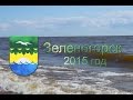 Зеленогорск 2015. Годовой отчет МО