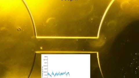 Detect bead using coulter counter