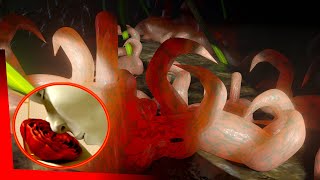 Animating a Creepy Crawly