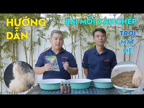 Hướng Dẫn Bài Mồi Câu Cá Chép Kim Long Vào Trời Mưa Lạnh, Nhiệt Độ Thấp | VIETNAM FISHING TV