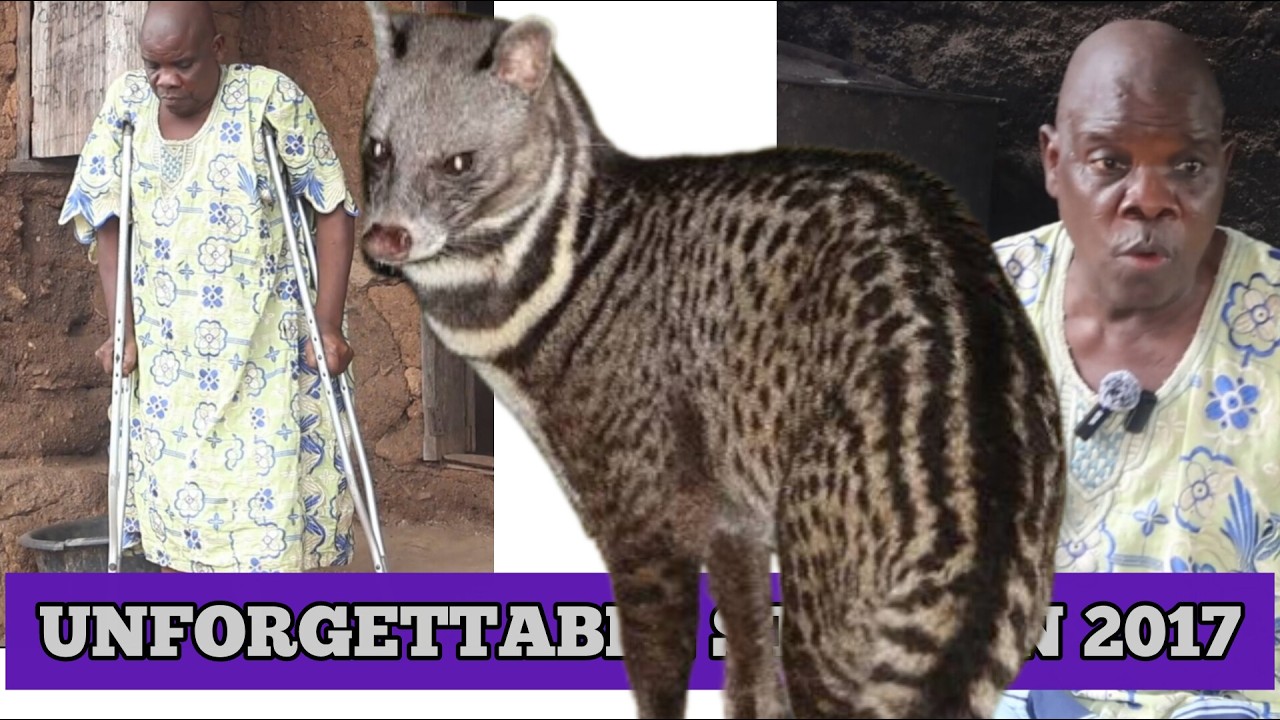 I HAVE AN ENCOUNTER WITH AN ANIMAL TURNED TO HUMAN BEING...