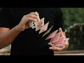 Tally Ho Cardistry