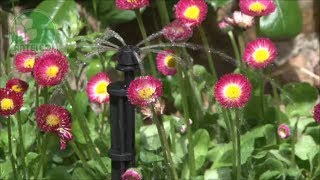 Adjustable Dripper Shrubbler Guide - Drip Irrigation
