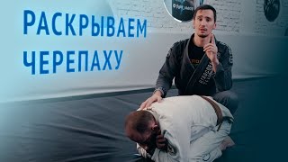 Раскрытие черепахи и болевые приемы для джиу-джитсу, мма, грэпплинга, дзюдо и самбо