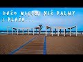 Alicante: uniwersalne miasto na hiszpańskie wakacje🌴☀️🌊 Hiszpański rynek i gdzie jedzą Hiszpanie🥘