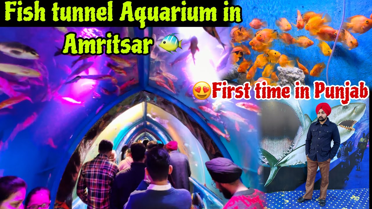 1st Largest 🐠Fish tunnel Aquarium in amritsar Location New Amritsar