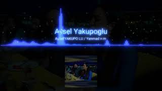 Aysel yakupoğlu - yanmadın mı ( şef  müzik) Resimi