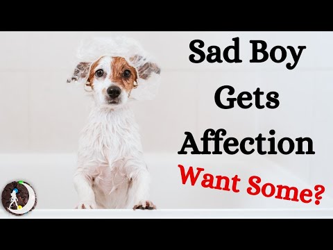 Comforting You with Fresh Cookies and a Bath ~ ASMR for Good Boys