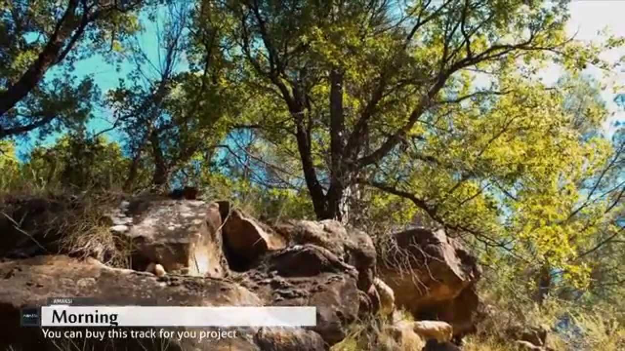 Ver Amaksi - Morning (Royalty Free Electronic Background Music) no YouTube Ver Amaksi - Morning (Royalty Free Electronic Background Music) no YouTube