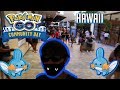 POKEMON GO L MUDKIP COMMUNITY DAY EVENT AT ALA MOANA (ARMORED MEWTWO,
MUDKIPS)