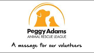 Thank You, Volunteers, for Everything You Do!