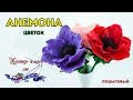 Цветы Анемоны из полимерной глины и мастики. Мастер-класс