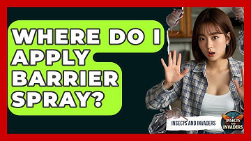 Where Do I Apply Barrier Spray? - Insects and Invaders