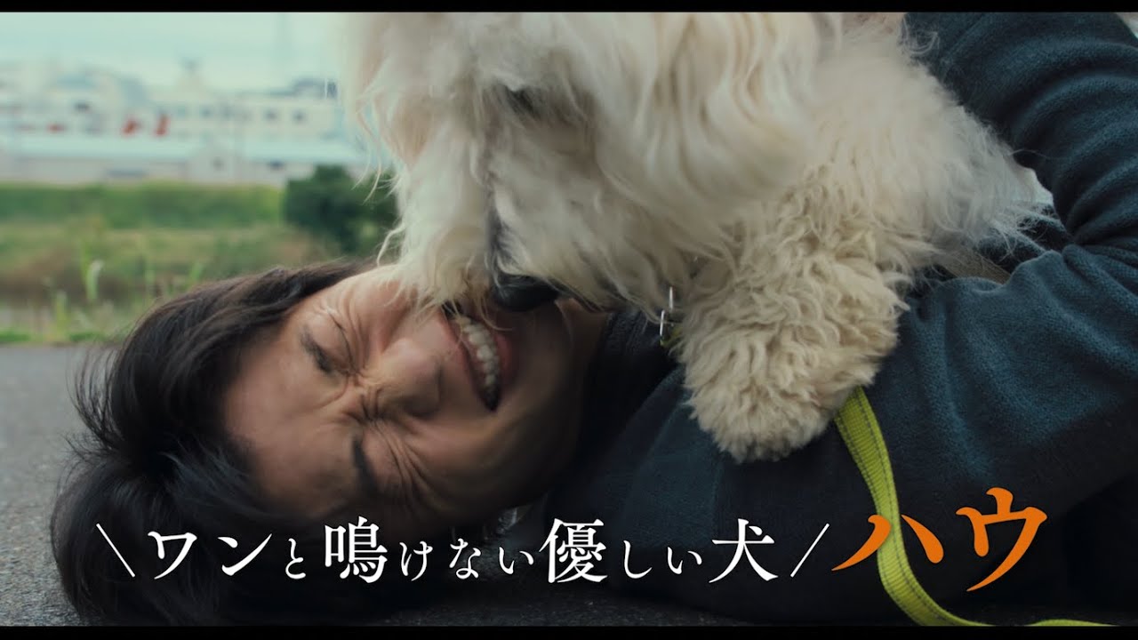 田中圭 犬を愛する青年を熱演 最高の演技で監督を唸らせた 俳優犬ベックの名演技にも注目 映画 ハウ 特報映像 Youtube