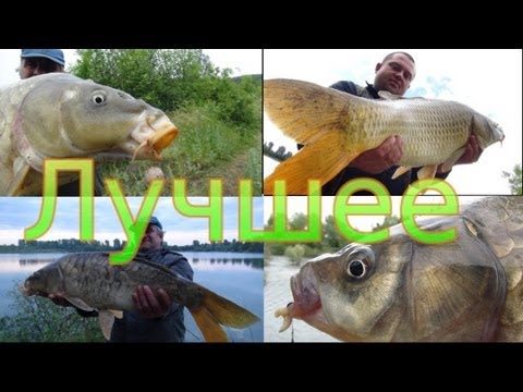 Рыбалка, Лучшие моменты рыбалки летнего сезона 2013 года Рыбалка, Лучшие моменты рыбалки летнего сезона 2013 года