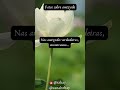 Fatos sobre amizade #Shorts #short #shortsvideo #curiosidades #viralshorts #curious #conhecimento