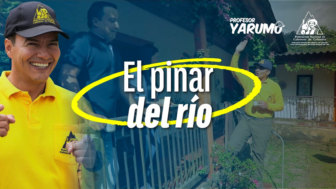 LAS AVENTURAS DEL PROFESOR YARUMO: EL PINAR DEL RÍO