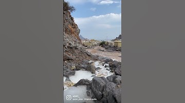 ثلث القرآن |🪴. سورة الإخلاص.
