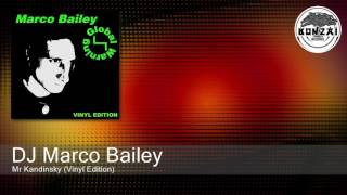 DJ Marco Bailey - Mr Kandinsky (Vinyl Edition)