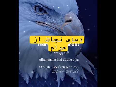 دعای نجات از تمایلات حرام دعا برای ترک گناه و هوای نفس