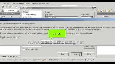 Configuring your website in WinSCP FTP