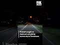 Fireball seen streaking across night sky in Tennessee