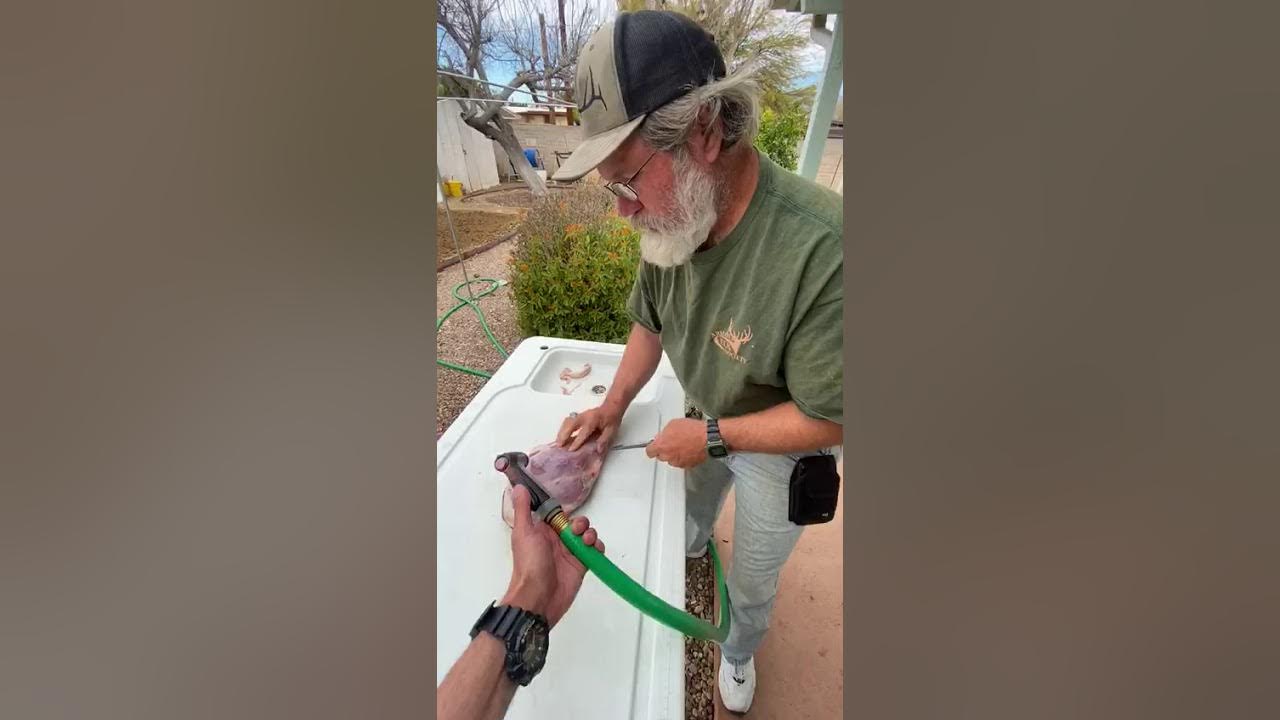 butchering Arizona Javelina part 1 YouTube