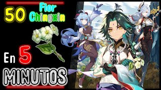 Farmeo Flor Chingxin en 5 Minutos ? para XIAO - GANYU - SHENHE ✅ Genshin Impact - Guia Version 2.4