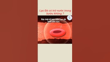 Lạc Đà có trữ nước trong bướu không ? l KIẾN THỨC VÔ TẬN #shorts