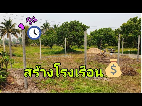 โรงเรือนปลูกผัก การสร้างใน1วัน 2,500.- (วางผัง ลงเสา)