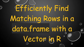 Efficiently Find Matching Rows in a data.frame with a Vector in R